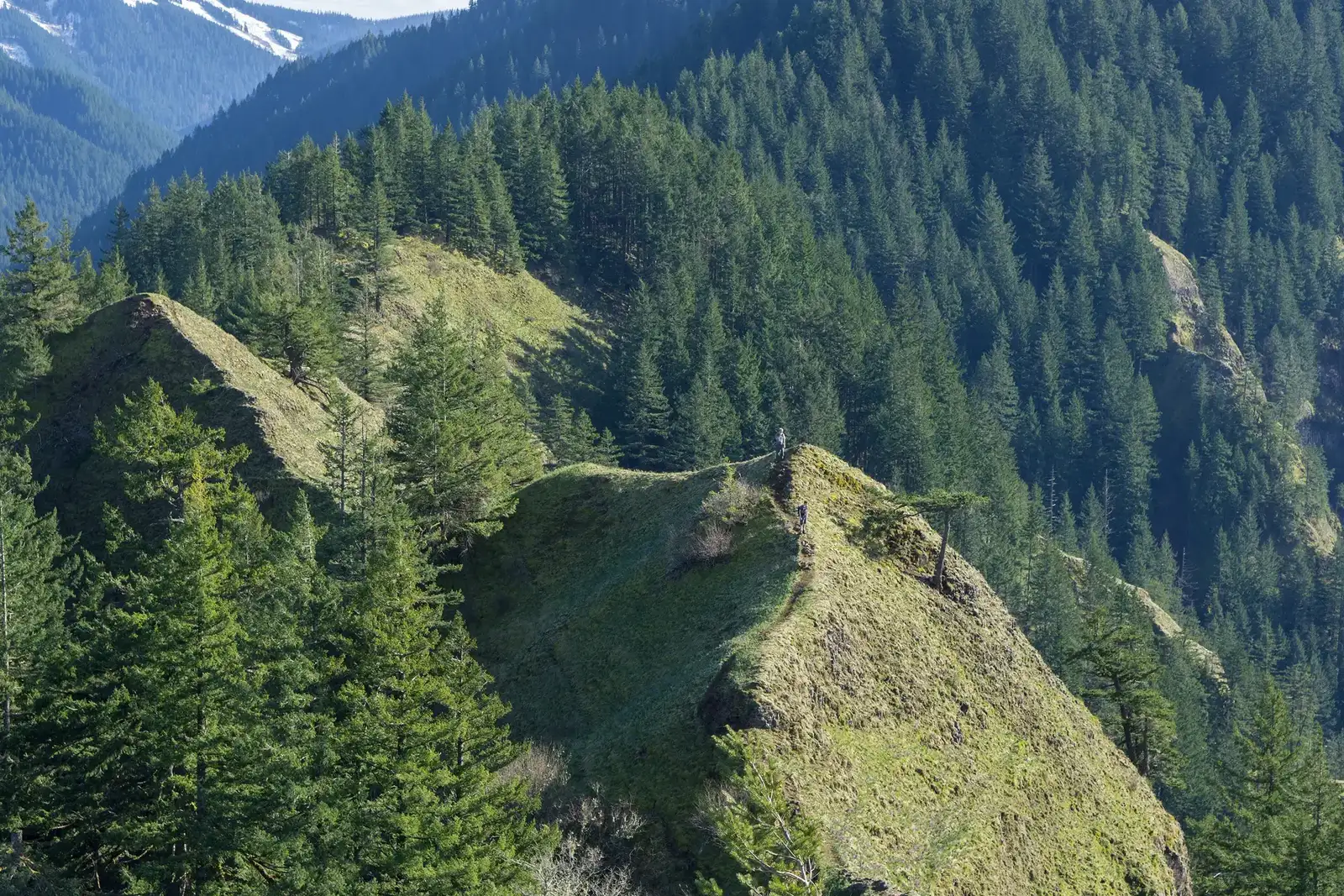 Rivière traversant une forêt vue du ciel